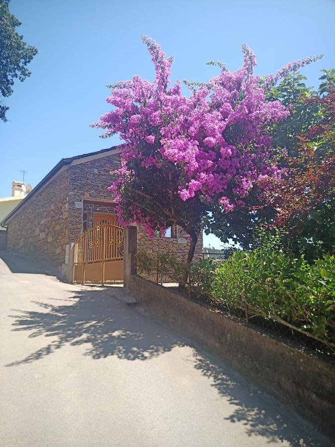 Quinta Silva Villa Ester Habitación foto